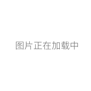 NDJ-4型 系列旋转粘度计